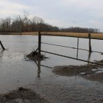 Ohio and Pa. counties eligible for disaster aid flooded pasture