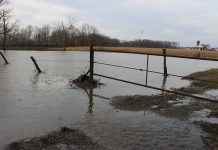 Ohio and Pa. counties eligible for disaster aid flooded pasture