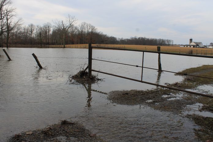 flooded pasture