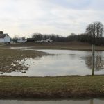 Turning marginal ground into a water quality a win for farmers flooded pasture