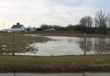Turning marginal ground into a water quality a win for farmers flooded pasture