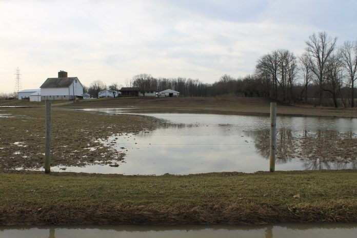 flooded pasture