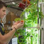 Lorain County FFA’ers are learning by doing Lorain County JVS