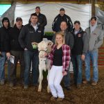 Ohio Holstein sale