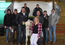 Ohio Holstein Convention sale averages $2,342 Ohio Holstein sale
