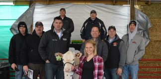 Ohio Holstein Convention sale averages $2,342 Ohio Holstein sale