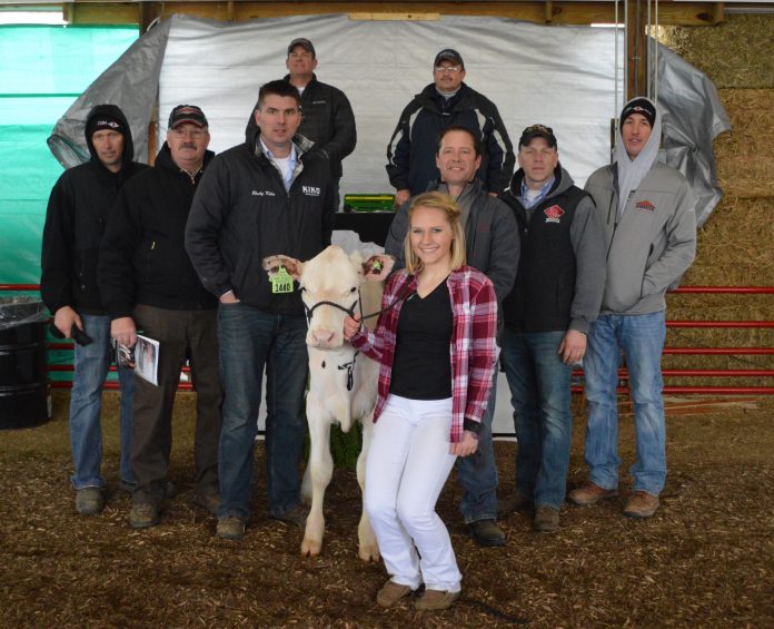 Ohio Holstein sale Ohio Holstein sale