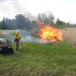 controlled burns