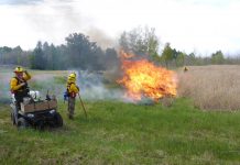 Game commission plans controlled burns controlled burns