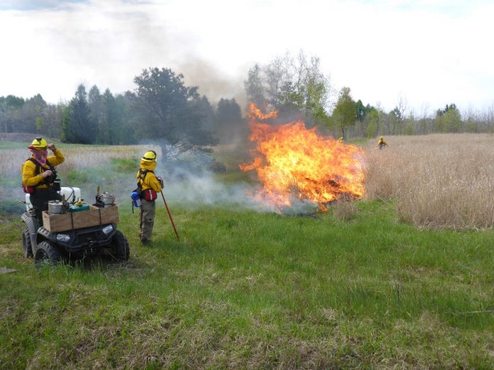 controlled burns controlled burns