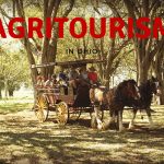 Agritourism Banner