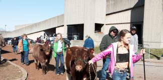 Ohio Beef Expo junior show champions Beef Expo show lineup