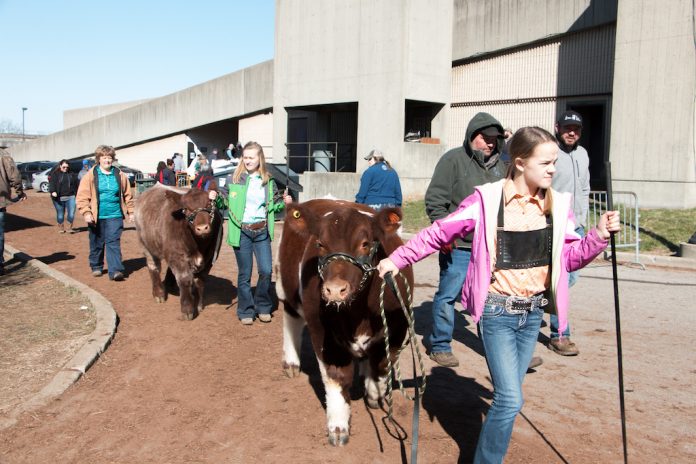 Beef Expo show lineup Beef Expo show lineup