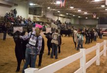 Cattlemen youth awarded for successful season Youth show beef cattle