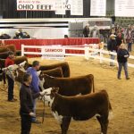 Ohio Beef Expo