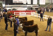 Ohio Beef Expo has a family focus Ohio Beef Expo