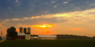 Stay safe working with electricity on the farm Ohio farm