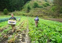 Understanding generational differences of farm employees farm workers