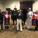 2018 Pennsylvania dairy show