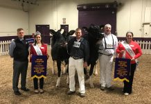 Campbell Run wins Holstein banner 2018 Pennsylvania dairy show
