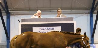 Penn State quarter horse sale: A tradition of excellence