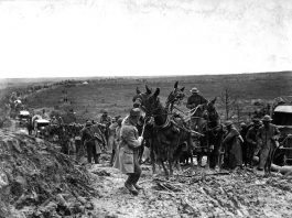 Stuck American ammunition wagon