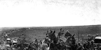 Stuck American ammunition wagon