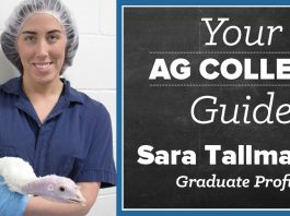 Sara Tallmadge, Stautzenberger College Sara Tallmadge