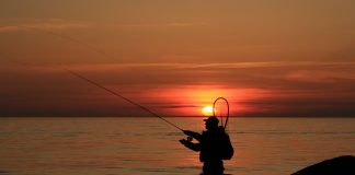 Learning the fine art of fly fishing angler