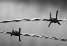 Barbed wire’s history entangled in war barbed wire