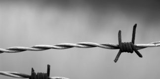 barbed wire