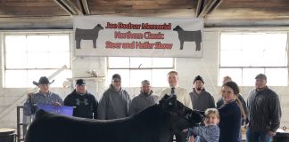 Northern Classic steer and heifer show results Bodnar Northern Classic