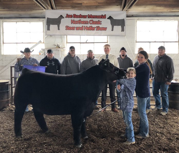 Bodnar Northern Classic Bodnar Northern Classic