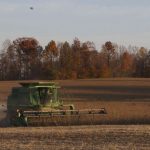 Markets bounce following USDA reports combining soybeans