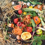Give food waste a second life composting waste
