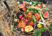 Give food waste a second life composting waste