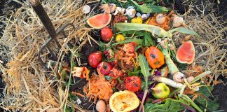 composting waste