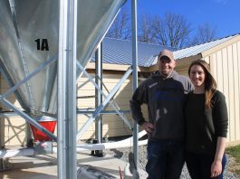 Contracting chickens