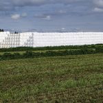 February is an ideal time for frost seeding alfalfa field