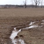 Fixing gullies the right way Field runoff