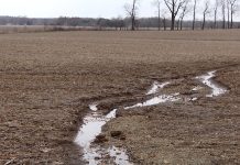Fixing gullies the right way Field runoff