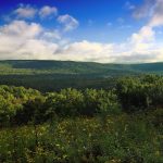 Register for a guided tour of Pennsylvania game lands Pennsylvania forest