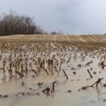 Expect very little planting in April Flooded field