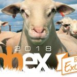 Ohio woman tapped to attend LambEx in Australia LambEx