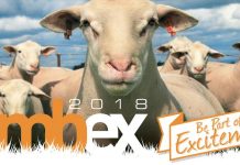 Ohio woman tapped to attend LambEx in Australia LambEx