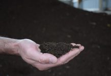 Is soil carbon underestimated? compost