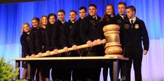 FFA gavel