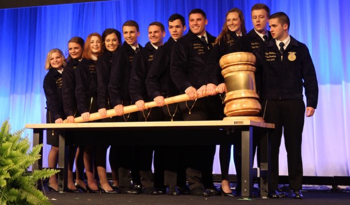 Gavel FFA gavel