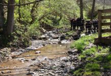 A stream of change Fencing livestock out of streams