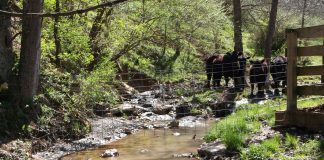 Fencing livestock out of streams